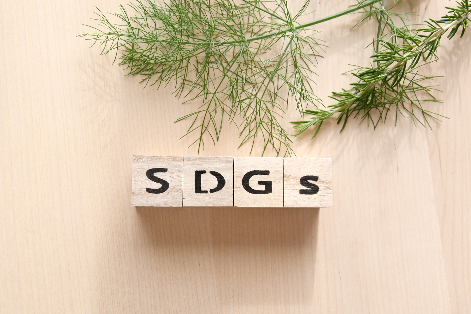 SDGs